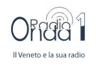 Radio Onda 1